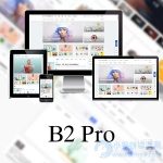 WordPress B2 Pro 主题5.2.0最新欢乐版-吾爱源码站